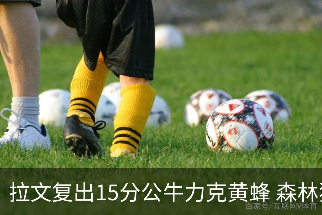 拉文复出15分公牛力克黄蜂 森林狼大胜火箭